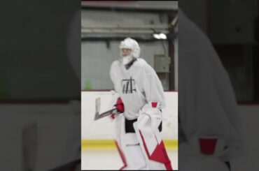 Defence Lawyer on The Ice.. YAAA!