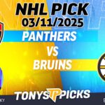 Florida Panthers vs Boston Bruins 3/11/25 NHL Pick Prediction