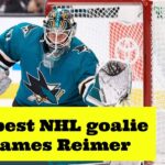 The best NHL goalie — James Reimer