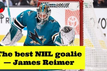 The best NHL goalie — James Reimer