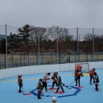 Ducks vs Wild 3/15 at 9