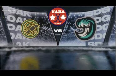 NAHA 2024-25 Season - Oakland Seals (21-15-8) @ San Diego Riptide (25-16-3)