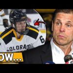 Bruins make SNEAKY signing... MAJOR Bruins Updates | Boston Bruins News