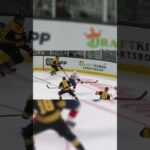 PAVEL ZACHA 13. GÓL V NHL SEZÓNA 2024/2025 #shorts #nhl #zacha #hokej #česko