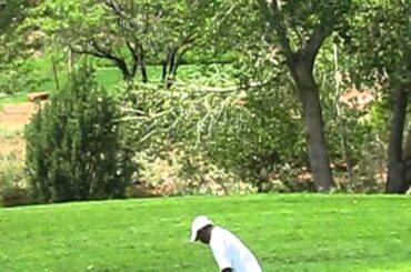 Greatest Chip shot EVER!!