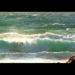 Jack Johnson - Bubble Toes Surf Video