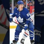 Tyler Bertuzzi plays in the #NHL with NO TAPE on the knob of his stick #shorts #shortsfeed