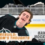 What Does Ex-Panthers Assistant GM Steve Werier Think of Sharks’ Rebuild?