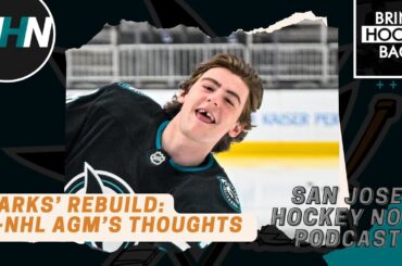 What Does Ex-Panthers Assistant GM Steve Werier Think of Sharks’ Rebuild?