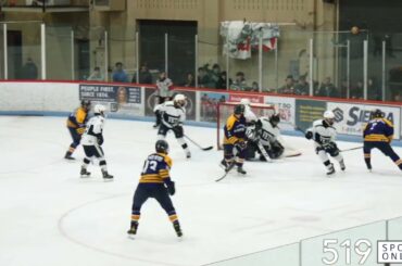 PJHL Playoffs (Game 5) - New Hamburg Firebirds vs Woodstock Navy Vets