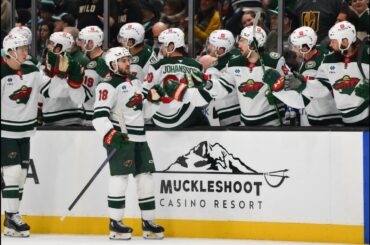 Vinnie Hinostroza: His Journey to Success with the Minnesota Wild