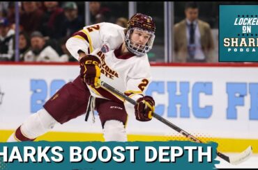 San Jose Sharks' New Addition: Can Noah Beck Make An Impact?