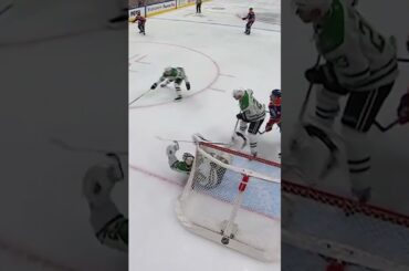 OTTER builds the DAM 🦦