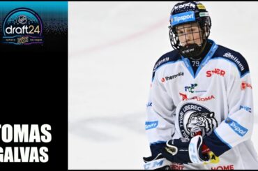 2024 NHL Draft : Tomas Galvas - 23-24 Highlights