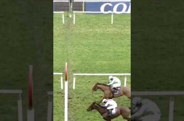 Tipster cannot hide despair after his 25-1 bet is beaten in a photo!