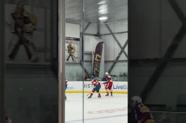 But de David Perron #hockey