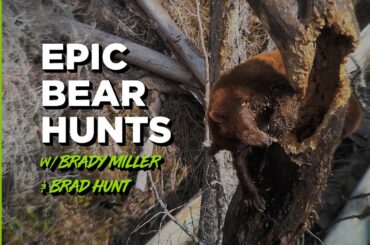 EP. 10 EPIC SPRING BEAR HUNTS WITH BRADY MILLER & BRAD HUNT
