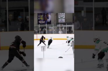 Hagelin gets his 2nd of the game 🚨 #cellyentertainment #hockey #goals #shorts