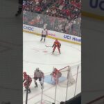 Farewell Anaheim Ducks 24-25 season