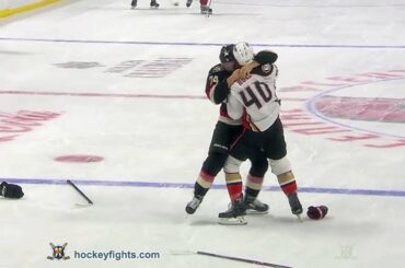 Jared Boll vs Mark Borowiecki Dec 22, 2016
