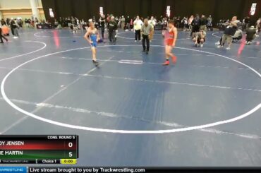 92 Lbs Cons. Round 5 - Brody Jensen, NE Vs Layne Martin, MI F684