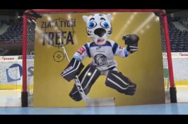 Zlatá tygří trefa