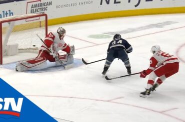 Nathan Gerbe Sneaks In Past Red Wings Defence & Makes Nice Move To Beat Thomas Greiss