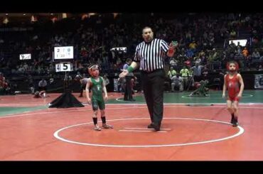 2015 Ohio Grade School State D1 45 lbs Final Grey Burnett, Red vs Carter Trukovich, Green