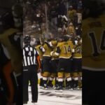 Chandler Stephenson’s Game 2 OT Winning Goal vs Dallas Stars🤯 (2023 Stanley Cup Playoffs)