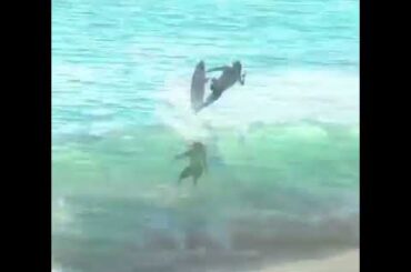 Austin Keen The champion surfer: Slay fitness