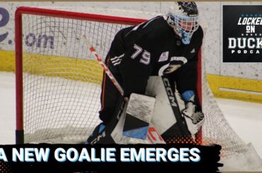 Who Is Emerging As the Gulls' #1 Goalie Of the Future?