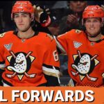 Final Ducks FORWARDS GRADED - Ross Johnston, Robby Fabbri, Nikita Nesterenko - Offseason QUACKINGS