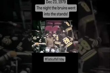 The night the bruins went into the stands! 🏒 🥊
