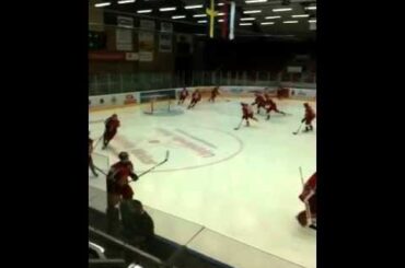 Almtuna A-lag uppvärmning vs Salavat del 1