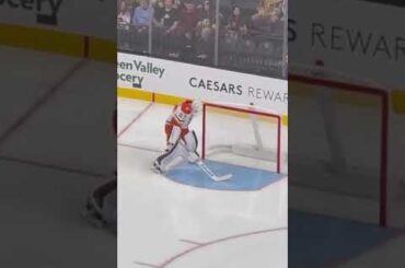 #goaliedance James Reimer Anaheim Ducks