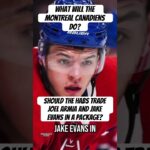 Should the @canadiensmtl trade Joel Armia and Jake Evans in a package?