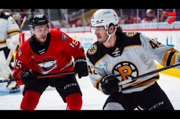HIGHLIGHTS: Game 4 Providence Bruins vs Charlotte Checkers | AHL Calder Cup Playoffs