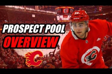 Prospect Pool Overview: Calgary Flames
