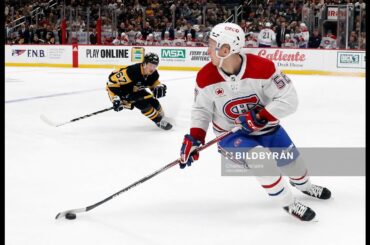 Jesse Ylönen, Djurgården