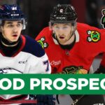 How Many FUTURE STARS are on the Blackhawks Roster? | CHGO Blackhawks Podcast