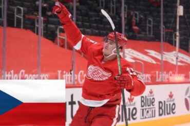 JAKUB VRÁNA VŠECHNY GÓLY V NHL SEZÓNA 2020/2021