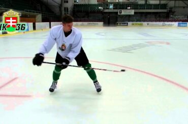 Marián Studenič - zručnosti