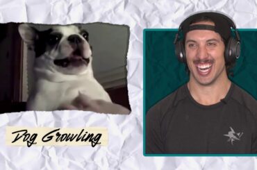 Name That Noise: Episode 1