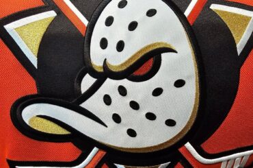 2025-26 Season Previews: Anaheim Ducks