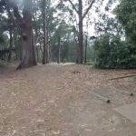 Patrick Brown Disc Golf SFDGC Hole 14