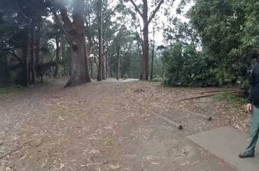 Patrick Brown Disc Golf SFDGC Hole 14