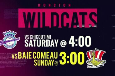 Conor Garland highlight OT Winner!