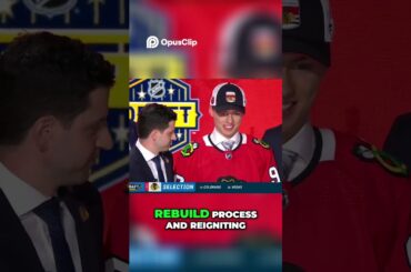 Is The NHL Draft Lottery RIGGED???🤔🤔#hockey #nhl #stanleycup #sports #shorts #youtubeshorts