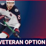 Should James van Riemsdyk Be Back With The Columbus Blue Jackets Next Season?