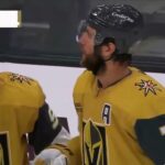 Alex Pietrangelo 2023 24 And 2024 25 Goals